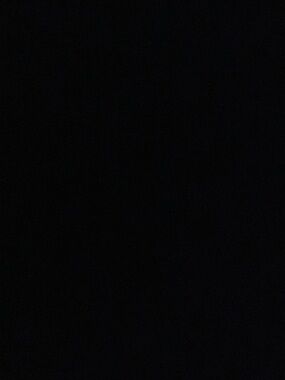 Meet your Posher, Laila